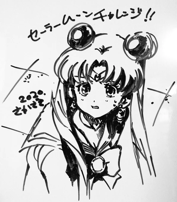 #sailormoonredrawタグ用に真面目に自分の手癖でセラムン描いた。あ…頭デケぇ!!(描き終わってから気付く…) 