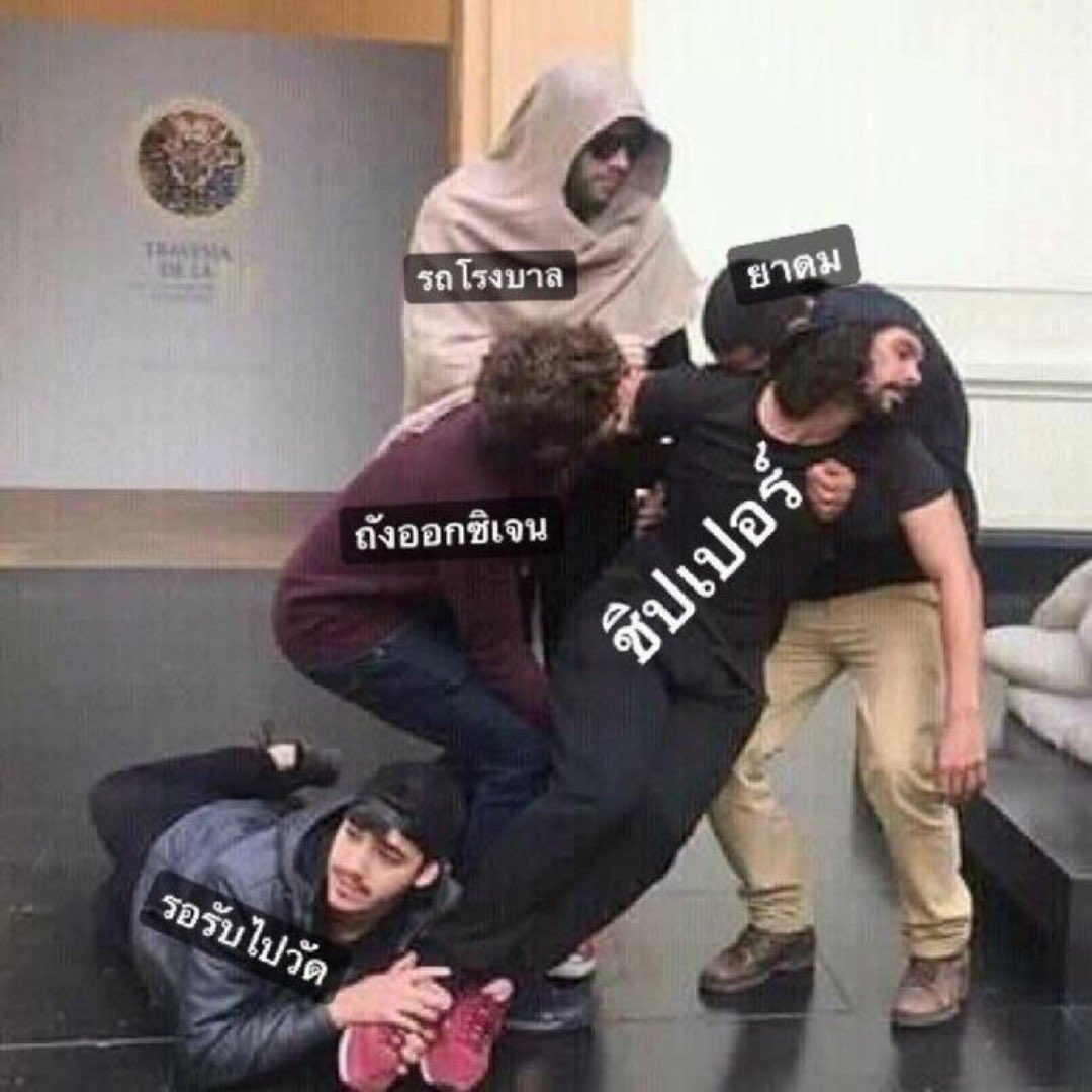 กอตอ🏕️ tweet media