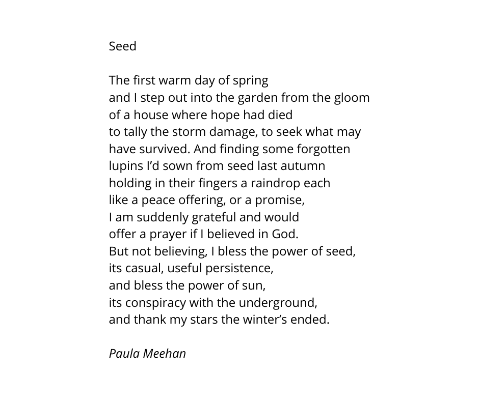 SeniorEnglishC1's tweet photo. Today's Poem of the Day is an ode to the hope that Spring in particular but nature in general offers us. The image of the "casual, usual persistence" of "Seed" is a marvelously optimistic one. #literarylifesupport #practicalpoetry #natureishealing https://t.co/3qtdxmKVNx