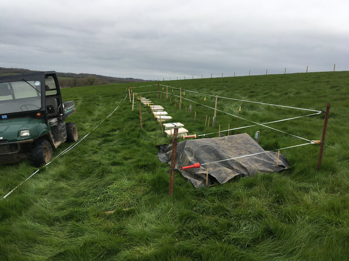 When adding fertiliser (ammonium nitrate) we needed to ensure our controls were protected and therefore covered each of our control plots with tarp when fert spreading was occurring. We also added fert by hand to each of the chambers to ensure they received the appropriate amount