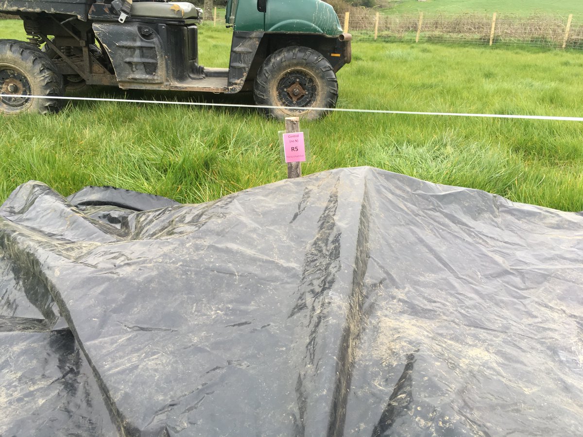 When adding fertiliser (ammonium nitrate) we needed to ensure our controls were protected and therefore covered each of our control plots with tarp when fert spreading was occurring. We also added fert by hand to each of the chambers to ensure they received the appropriate amount