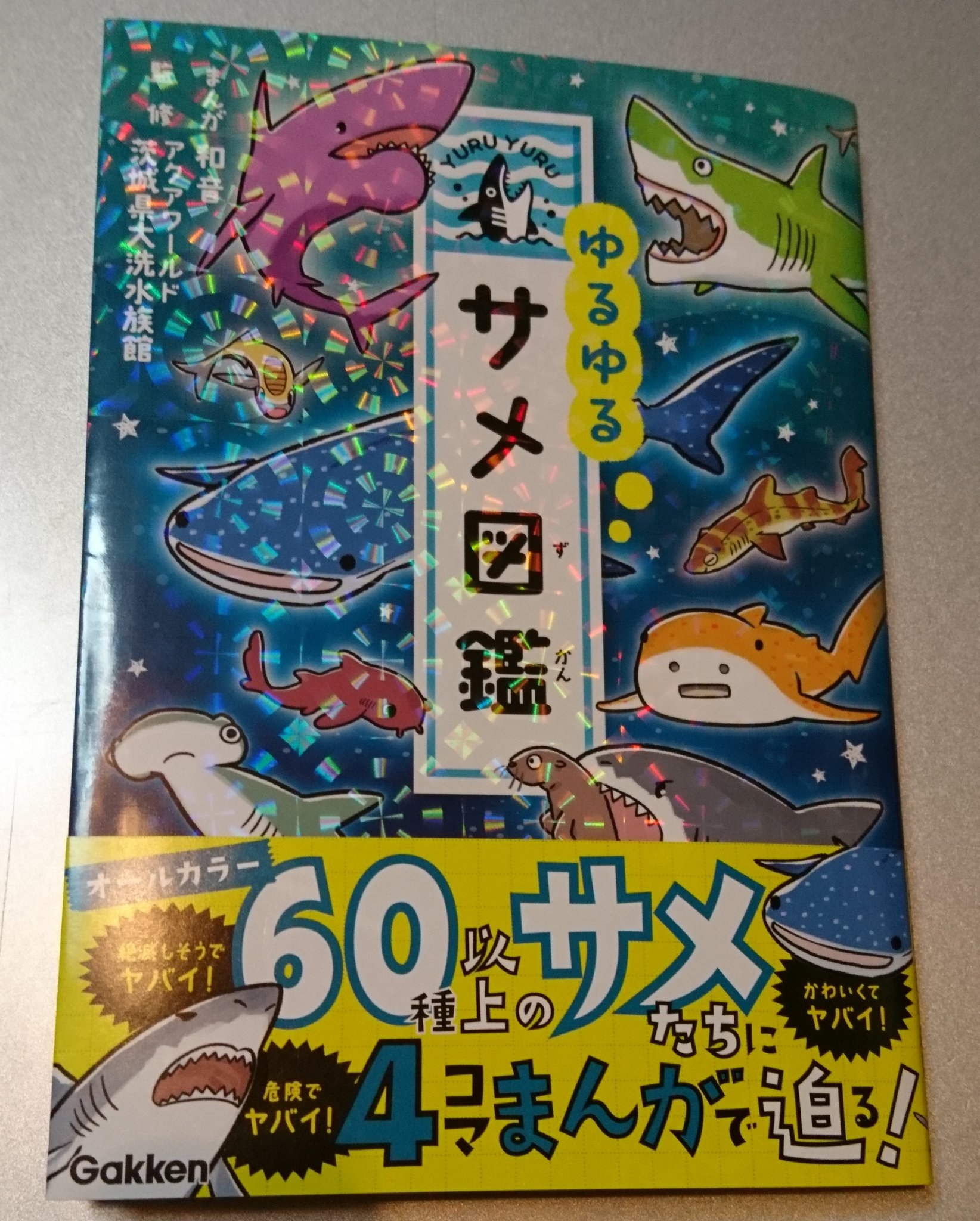 Twitter 上的 られぐま Amazonからアクアワールド茨城県大洗水族館監修の ゆるゆるサメ図鑑 が届きました 子供向けながらもサメ の種類から生態 サメに関する雑学などがイラストや4コマ漫画でめちゃめちゃ分かります 最後のページでアクアワールドを紹介しているの