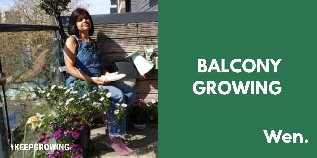 Wen_UK's tweet photo. Want to grow your own but don’t have a garden? Our very own Shaheda shares how she is able to grow her own veggies from her small balcony.  Check out her step by step instructions 🌱 https://t.co/WjrACLAg1G #KeepGrowing #growyourown https://t.co/EUoAIk2O81