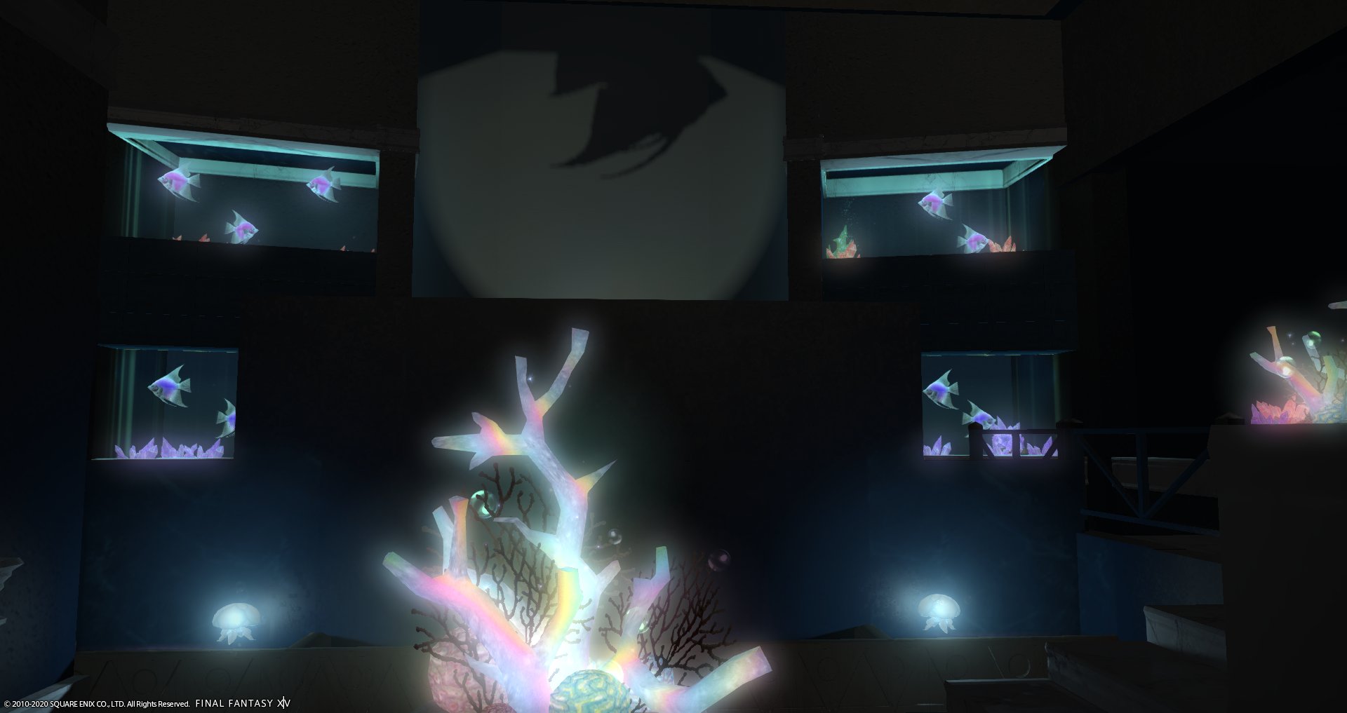 幼き日の主と坊っちゃまにプディングを届けたいシェーノ Twitter પર Liddellさん Liddell0301 の Night Aquarium におじゃましました Liddellさんは海水魚をリアルで育てられていたそうで 納得の世界観です これが 水中の魅せ方 水槽で水中世界を表現する 幼き日の主と坊っちゃまにプディングを届けたいシェーノ Twitter પર Liddellさん Liddell0301 の Night Aquarium におじゃましました Liddellさんは海水魚をリアルで育てられていたそうで 納得の世界観です これが 水中の魅せ方 水槽で水中世界を表現する