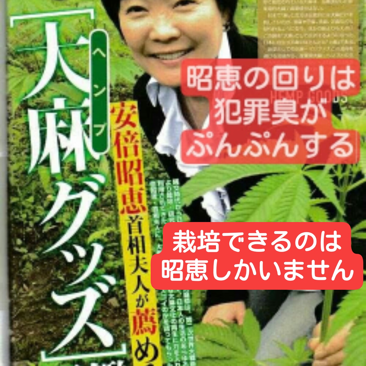 Karen M7 A 生まれながらにして 統一教会の教えで育った 右翼原理主義 安倍晋三と 森永のお嬢様で育ち 疑う能力に欠け 反社会勢力 不良芸能人 新興宗教利用されても 善と思う 世界の笑い者安倍昭恵 T Co Ia1ucvjo94 Twitter