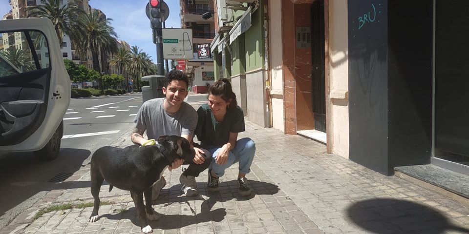 protectorasvpap's tweet photo. Al, ahora Cobo, ya tiene un hogar, una familia, y sabemos que va a ser muy feliz. #nocompresadopta https://t.co/BpUtNgQhbe