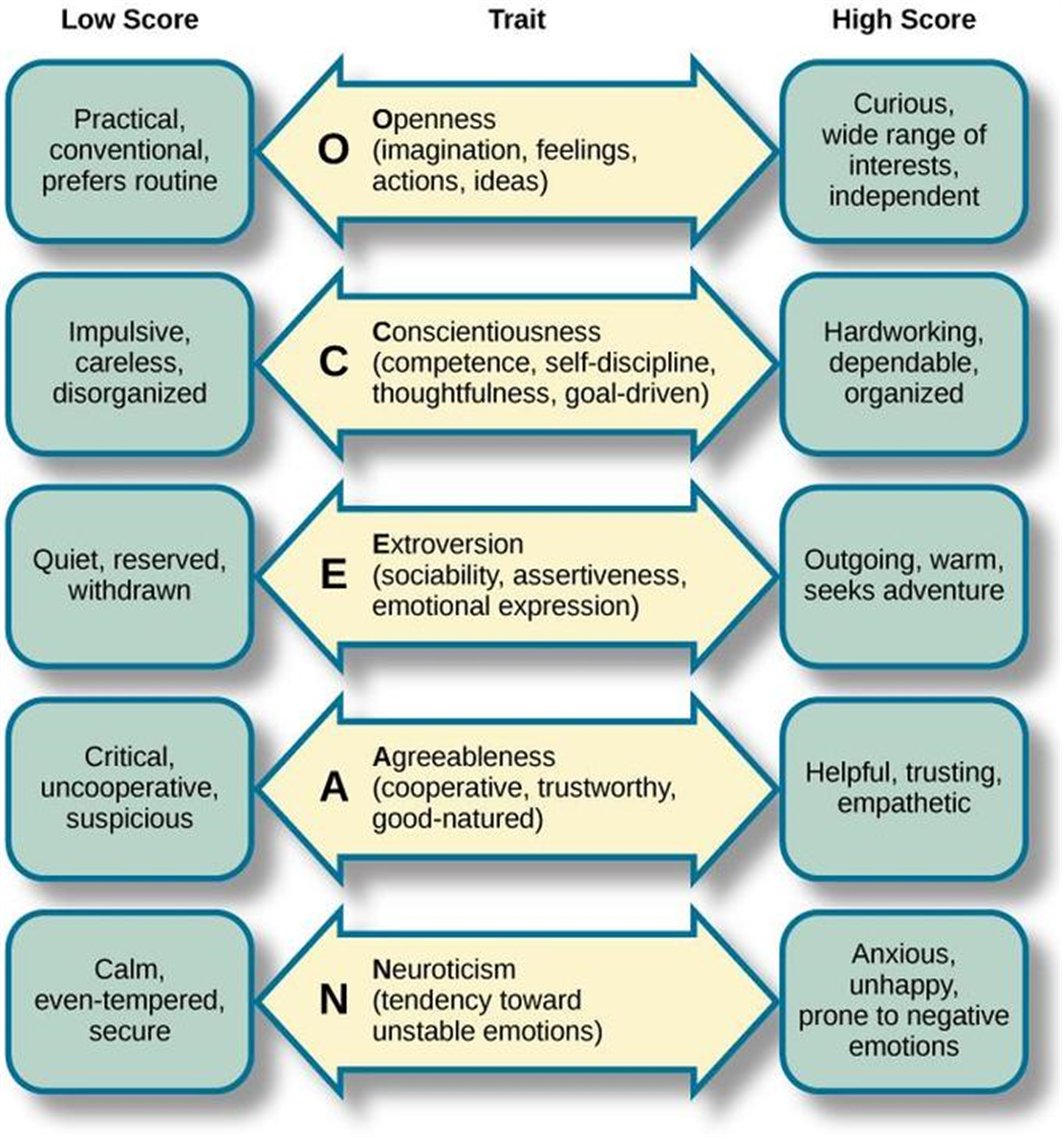 iScore5APpsych's tweet photo. The Big 5 Personality Trait Theory https://t.co/aUxQTKXYvK