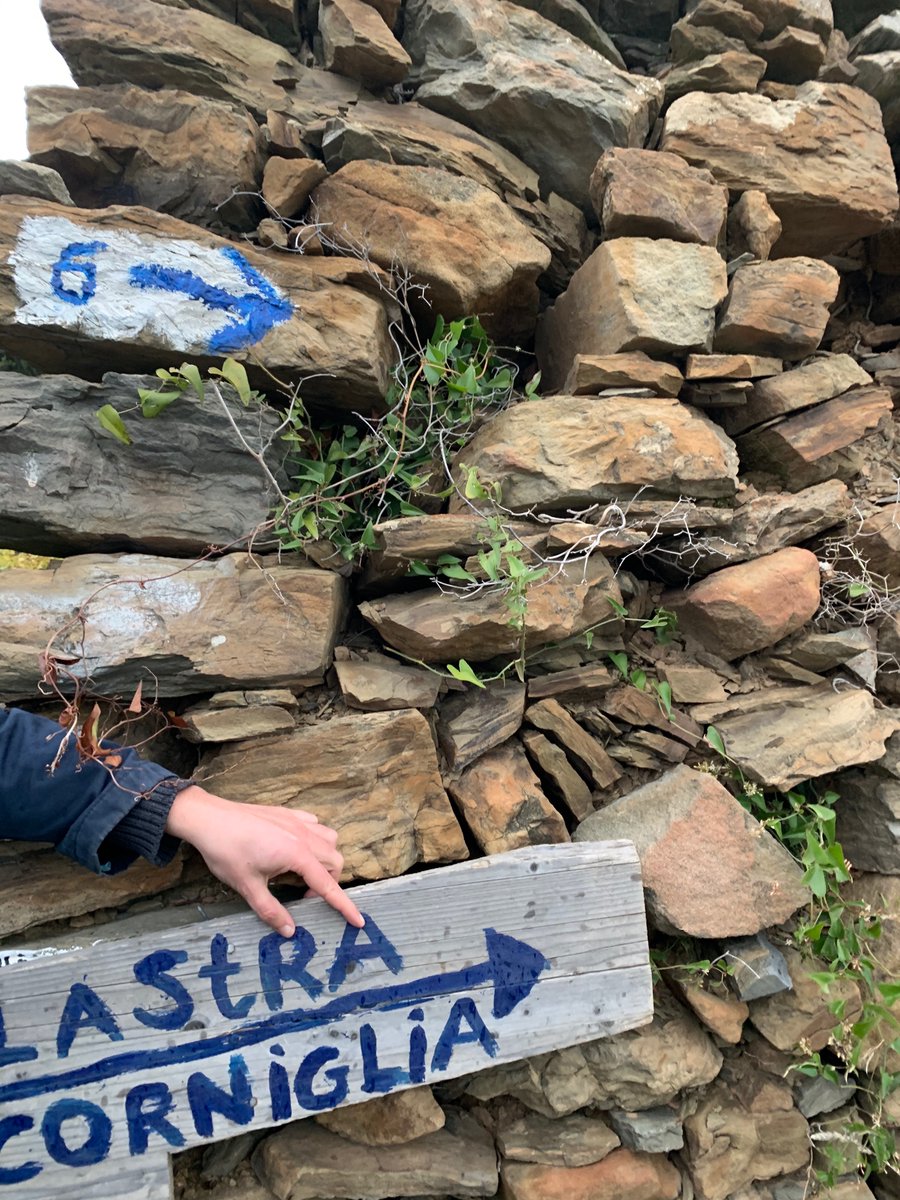 stonewalls4life's tweet photo. Costruire un muro a secco è come generare una persona. Nasce qualcosa di vivo, per esistere gli occorre un'etica: può essere bello, ma se non ha sostanza prima o poi crolla. Per durare servono tutte le virtù, ma è il difetto a connotarlo nel tempo. M. Stoffella 
@LIFEprogramme https://t.co/N4kDirfG9D