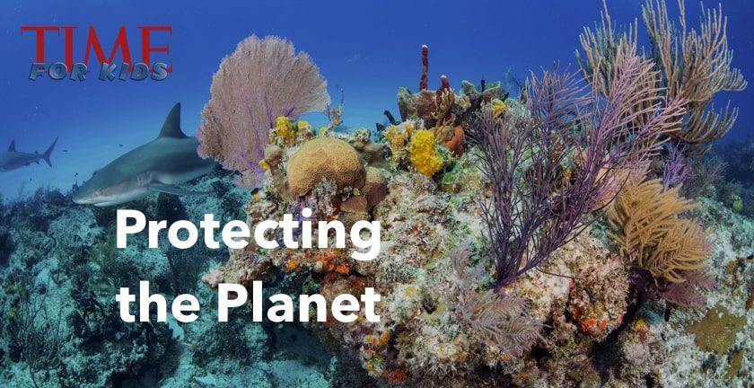 go_pangea's tweet photo. Did you know that there are more than a dozen #STEM topics on PenPal Schools!? From robotics to the Solar System and plant and animal adaptation, global connections make any academic subject more authentic and engaging! Sign-up @ https://t.co/T1rOlfJwFy #EdTech #STEMeducation https://t.co/3hbKmGXB6r
