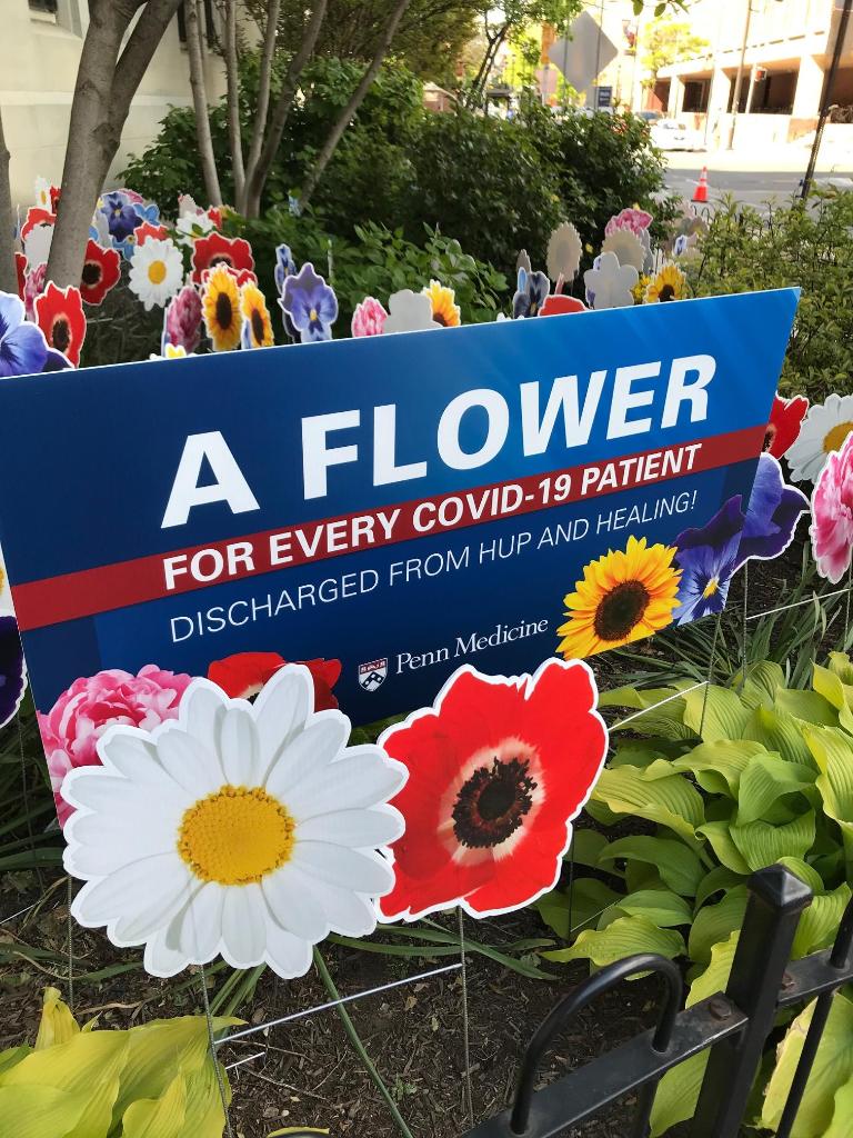 PennMedicine's tweet photo. Hope grows here: At the Hospital of the University of Pennsylvania, every time we discharge a COVID-19 patient to go home and heal, we place a flower in their honor in our garden. We’re happy to report that the garden is bursting with blooms. 🌷 https://t.co/tUfd0dSJyS