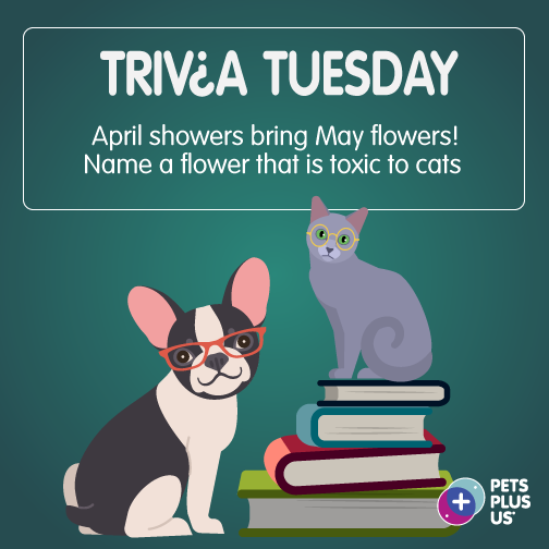 #Win a $25 PetSmart GC! Answer the question &amp; RT to enter our #TriviaTuesday Giveaway. Open to CND residents only. Contest ends at 11:59PM EST. Note, this contest is in no way sponsored, endorsed or administered by, or associated with, Facebook, Instagram and/or Twitter.