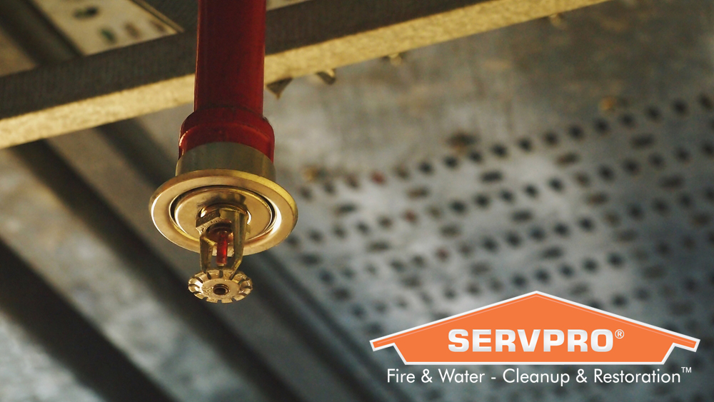 SERVPRO_EBW's tweet image. Myth: All sprinklers activate during a fire. Fact: Only the closest sprinkler to the fire activates leaving the rest of the building dry.
#firedamage #firerestoration #deodorization