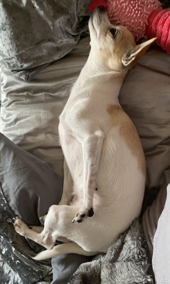 Boudicca1973's tweet photo. Being on #Lockdown is really getting to some of us..Whereas others are finding it a breeze. π #BeKind #staysafe #MentalHealthAwarenessWeek #somebodycares #COVIDkindness #pickupaphone π https://t.co/QnUaP5KLDY