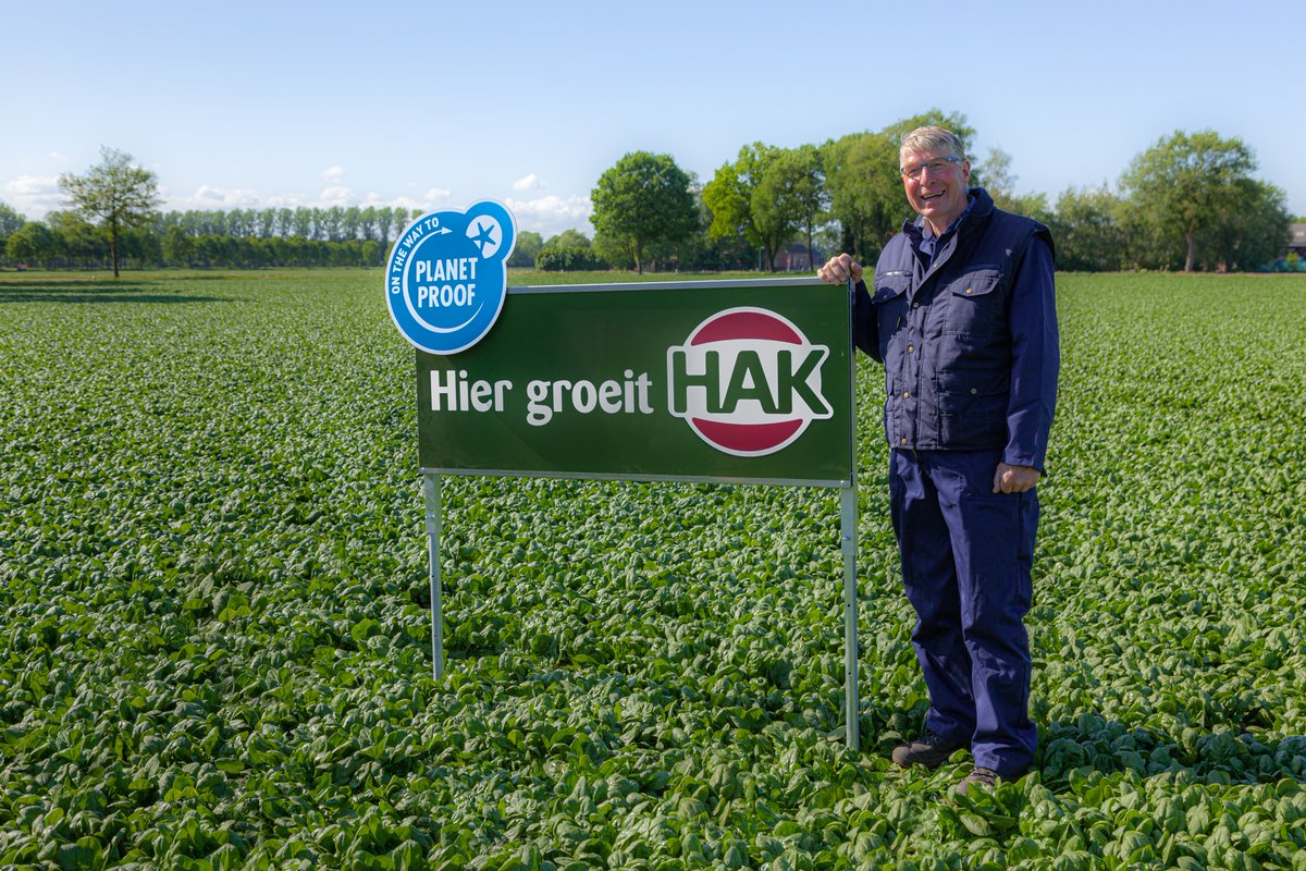 Net als de rode kool is onze spinazie vanaf dit seizoen ook On the Way to #PlanetProof mét extra vergoeding voor de teler. Alleen dan kunnen we ook in de toekomst duurzamere lokaal geteelde groenten blijven eten. #HAK #duurzaam #groenekeuken @Planet_Proof bit.ly/3e4xis3