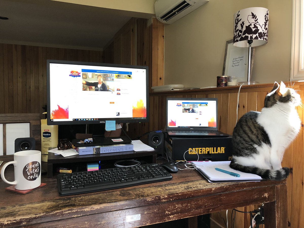 I never thought I’d see the day where my cat could attend a conference with me but here we are #ONEBigIdea #myonepointofview