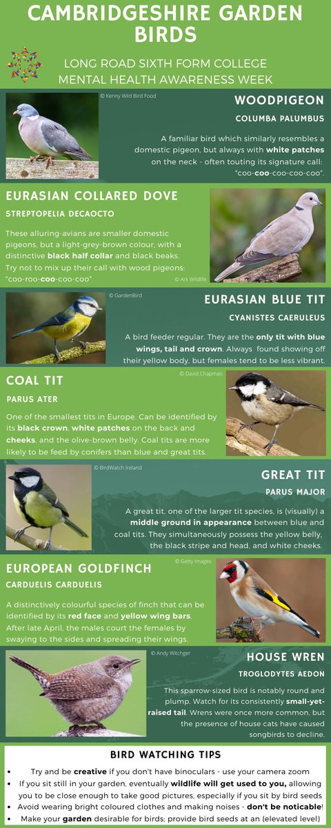 James Blane tweet media