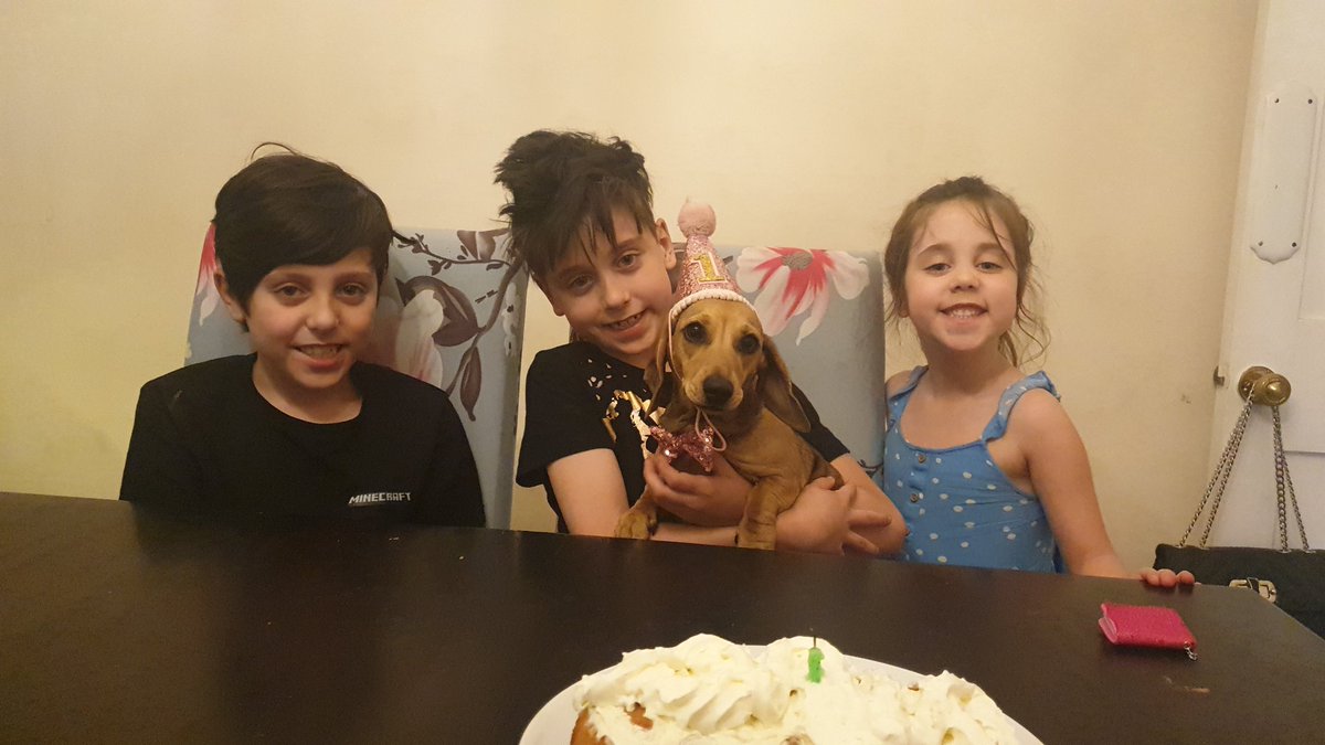 SwartRio's tweet photo. It was our puppys first birthday yesterday, we had a little party and made her a doggy friendly cake @QHAThurrock @MissConroy5 @miss_milbourn @MrsWonderling https://t.co/Bx85ymTZ0a