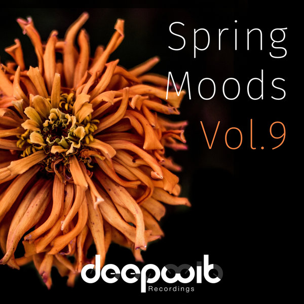 Soulfreqtion's tweet photo. My latest offering on Deepwit Recordings @Katlakat @djchristossa 

Listen, Share and Purchase :)
 https://t.co/RcODK5ZP0R

#deephouse #sahouse #soul #soulfreqtion https://t.co/flPM0JFffQ