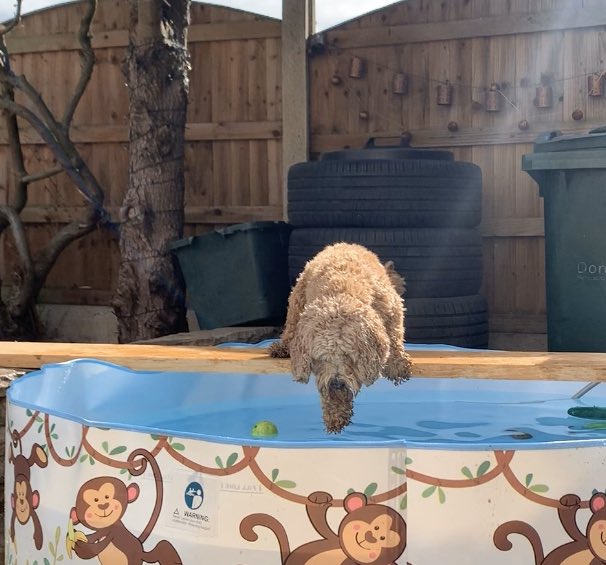 tedbites tweet picture