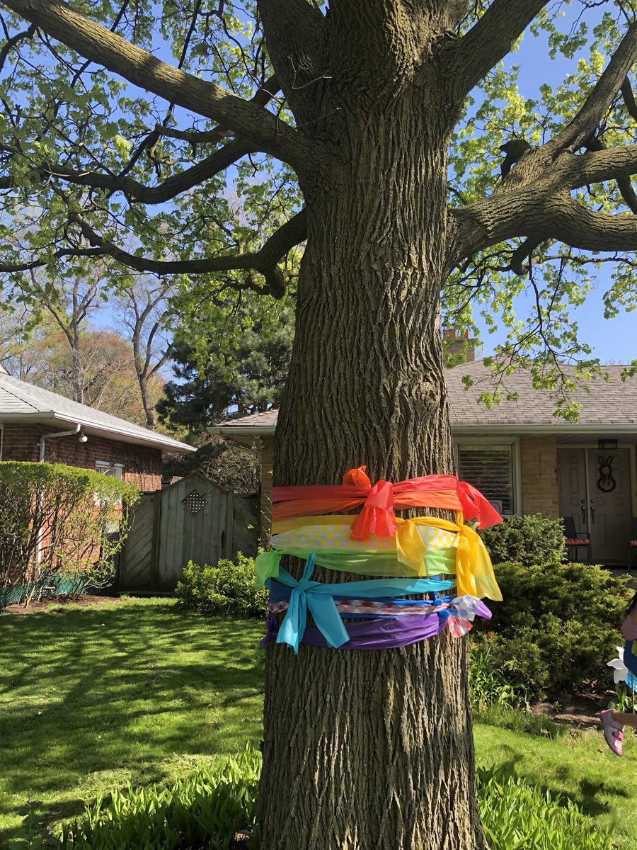 ReshmaKonstant2's tweet photo. Our rainbow 🌈 tree to show appreciation to frontline workers. Thank you to https://t.co/JaO5PBvy6Z for this initiative. #appreciate #thank you #hope #spreadrove #grateful @StGeorgesJPS @tdsb https://t.co/StAsNaAuo1