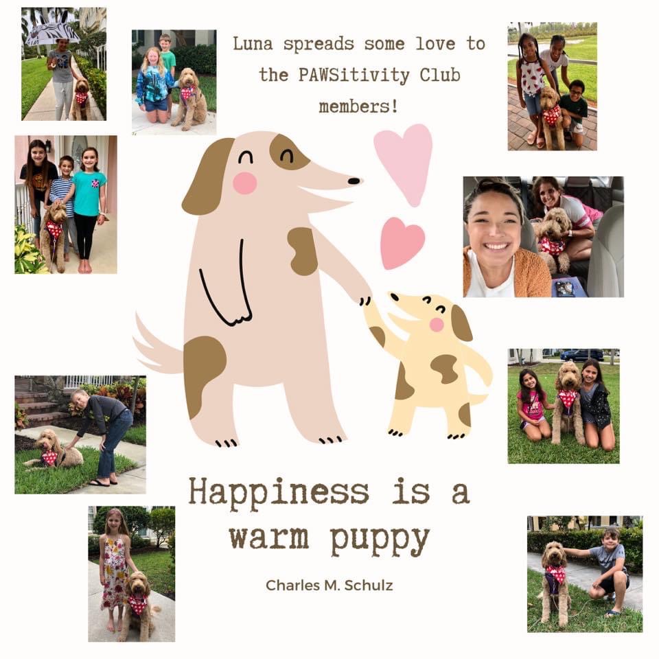 Luna visits her friends from PAWsitive Club.