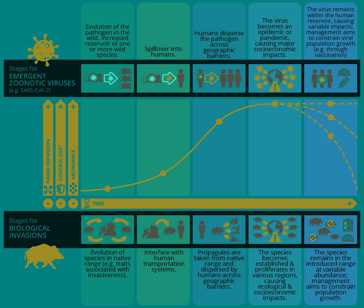 Martin_A_Nunez's tweet photo. #SARSCoV2 is an invasive organism

We need better integration of ecology, epidemiology, sociology &amp; biomedical researchers to develop an expanded invasion science that makes more and better contributions to global biosecurity

read @Trends_Ecol_Evo 
https://t.co/VhKYOxGmDs https://t.co/PTbfbVr3mh
