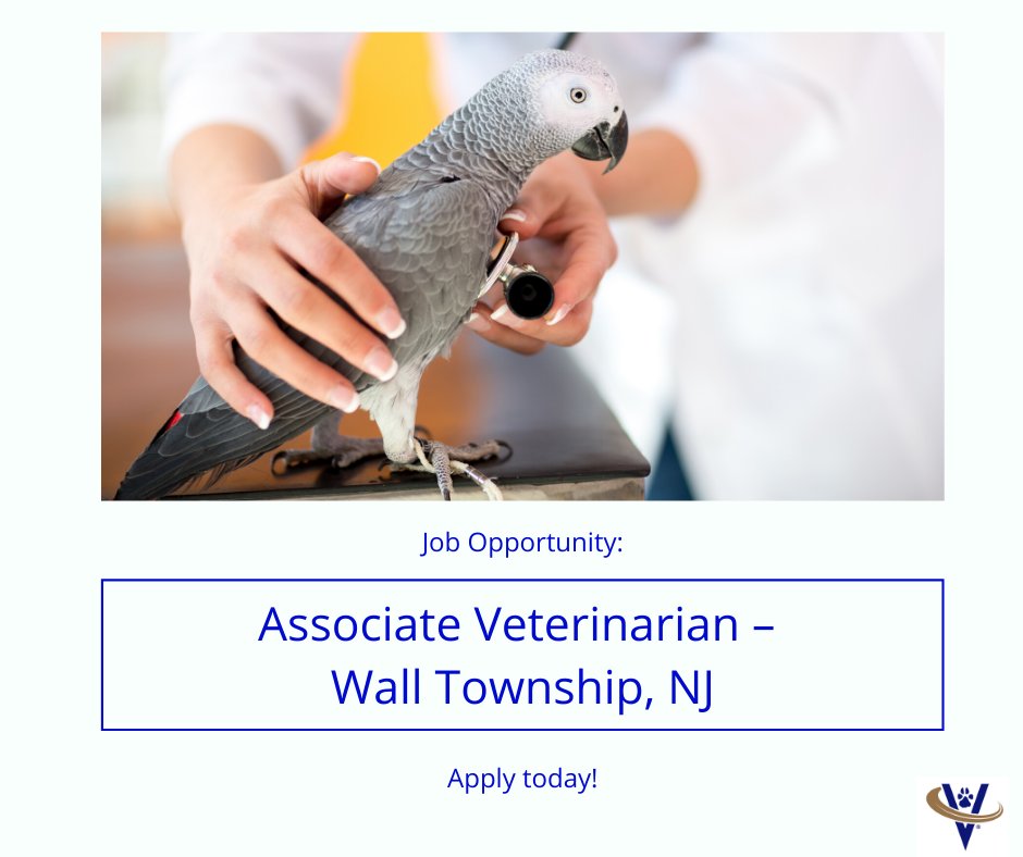 Job Opportunity: Associate #Veterinarian – #WallTownship, NJ.

Our client is a well-established, AAHA-accredited, multi-doctor practice in Wall Township, New Jersey. The practice serves dogs, cats, birds, exotic, and pocket pets …

Learn more: thevetrecruiter.com/current-openin…