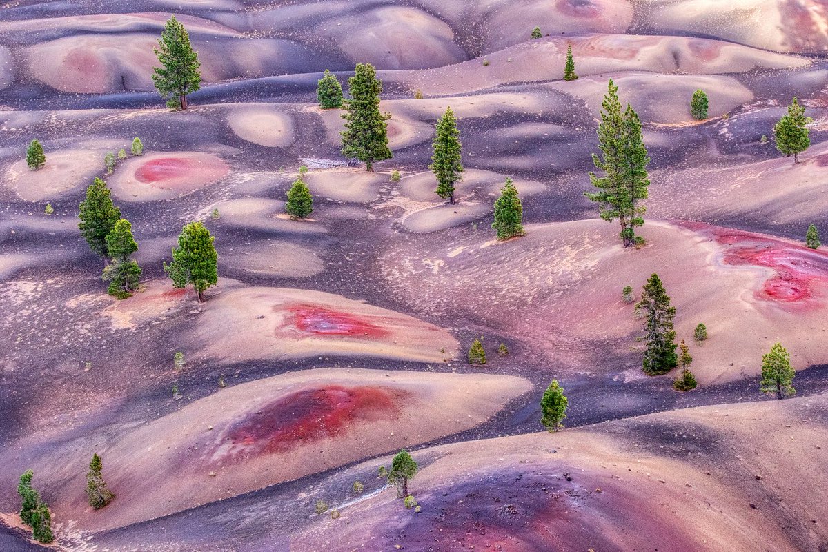 OutdoorPhotoMag's tweet photo. Our The American Landscape photo contest ends Thursday! Submit your best images now, and you could win a Tamron SP 15-30mm ƒ/2.8 Di VC USD G2 lens, $1,000 cash, and so much more! Pink Lady Nipple by Jemma Lee was the second prize winner last year. #TAL20
https://t.co/K8UoBgfhtj https://t.co/opjUpM8O6v