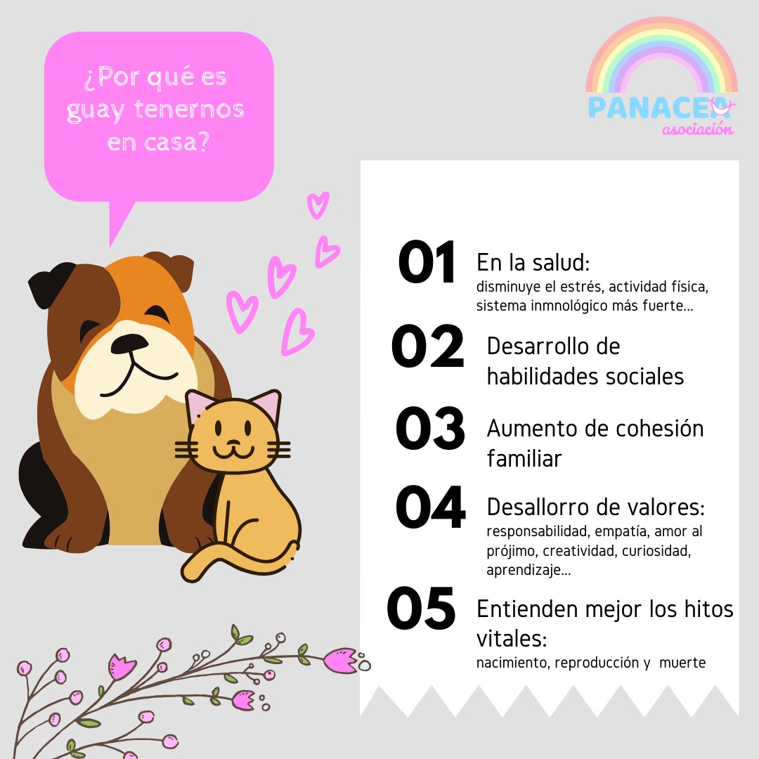 panaceasoc's tweet photo. Nuevo POST.
Os dejamos los beneficios de tener una mascota para los más peques de la casa.
Sus amigos de cuatro patas.
Siguenos también en Instagram
https://t.co/Uyja1SlZrd
#mascotas
#mejoresamigos
#pedagogía 
#panacea 
#trabajosocial 
#infancia
#diversidadfuncional https://t.co/0Da9E5RMpa