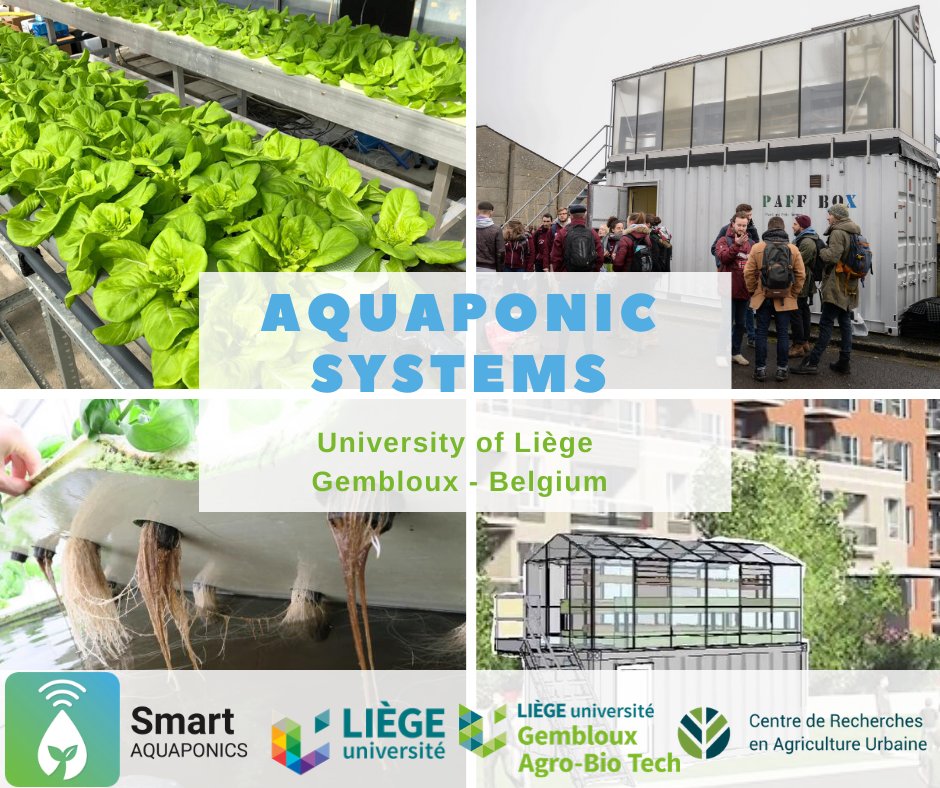 ➡️The Centre de Recherches en Agriculture Urbaine from Gembloux Agro-Bio Tech, leader of the Smart Aquaponics project, carries out fundamental and applied researches via its #Aquaponics: 🦠🌱bacterias study, enhancement of aquaculture water and sludge for hydroponics, etc.