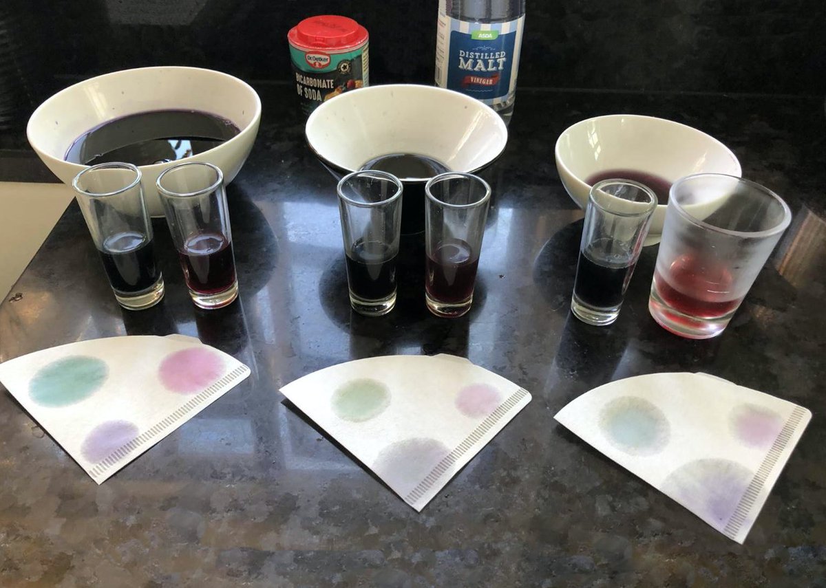 QASCaversham's tweet photo. ππ©βπ¬ In their remote #QASChemistry lessons the #QASFours have been doing some kitchen chemistry, investigating which fruits, vegetables or flowers make the best home-made indicators for acids and alkalis. π©βπ¬π
Read more here β‘οΈ https://t.co/emoySncruT https://t.co/xQAjqPcJQg