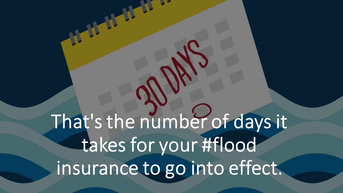 Brilliant Insurance (@brilliantins) on Twitter photo 