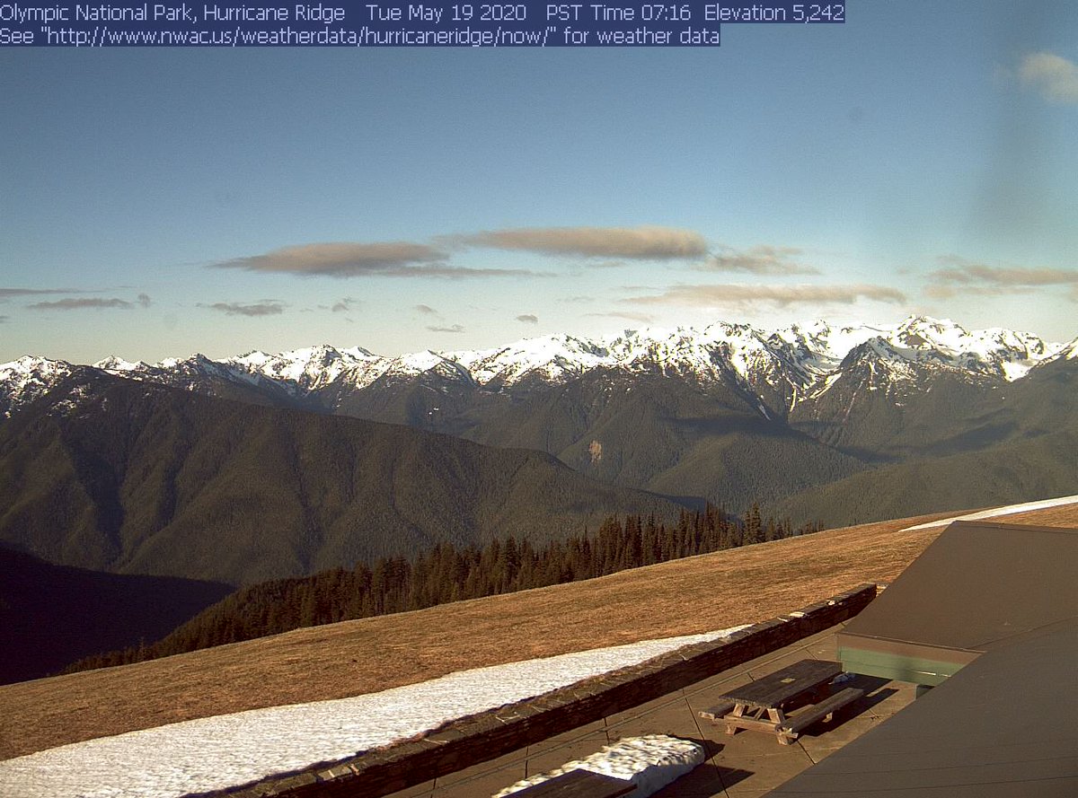 NWSSeattle's tweet photo. The marine layer made a push inland overnight, leaving most of us under cloudy skies this morning! But Hurricane Ridge is in the sun. Sunbreaks possible in the lowlands by the afternoon! #wawx https://t.co/K0GoWgmuq3