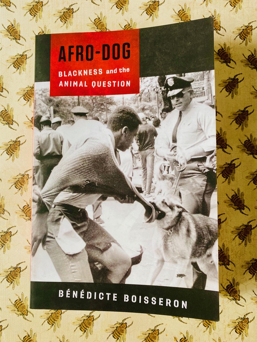 Discussing intersections like class and race is vital in  #EcofeministAnimalStudies. Bénédicte Boisseron’s 'Afro-Dog: Blackness and the Animal Question' is a skilful example - an exploration of “the intersections between animal studies and black studies and their limitations”.