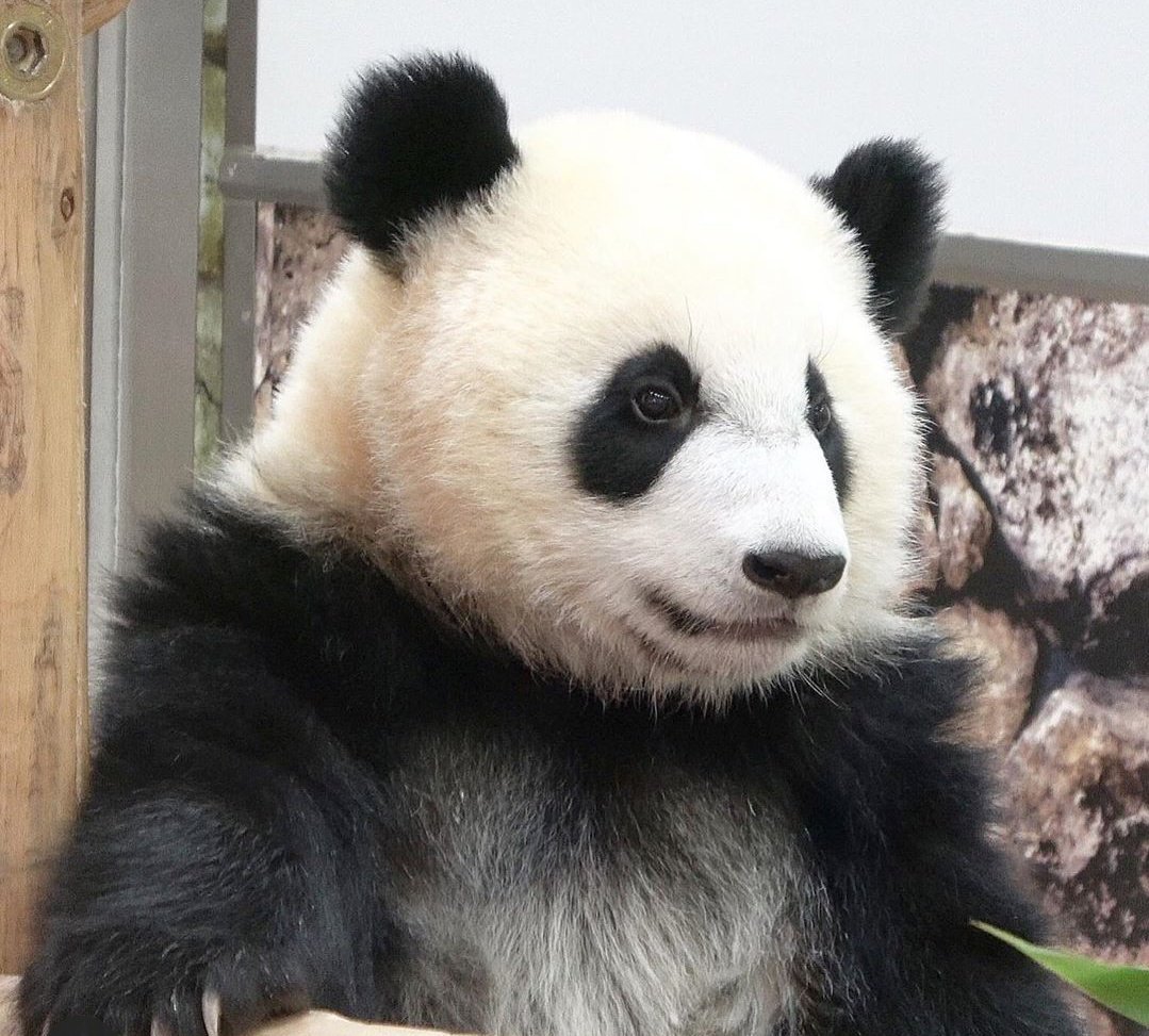 Karantinada bilmem kaçıncı hafta