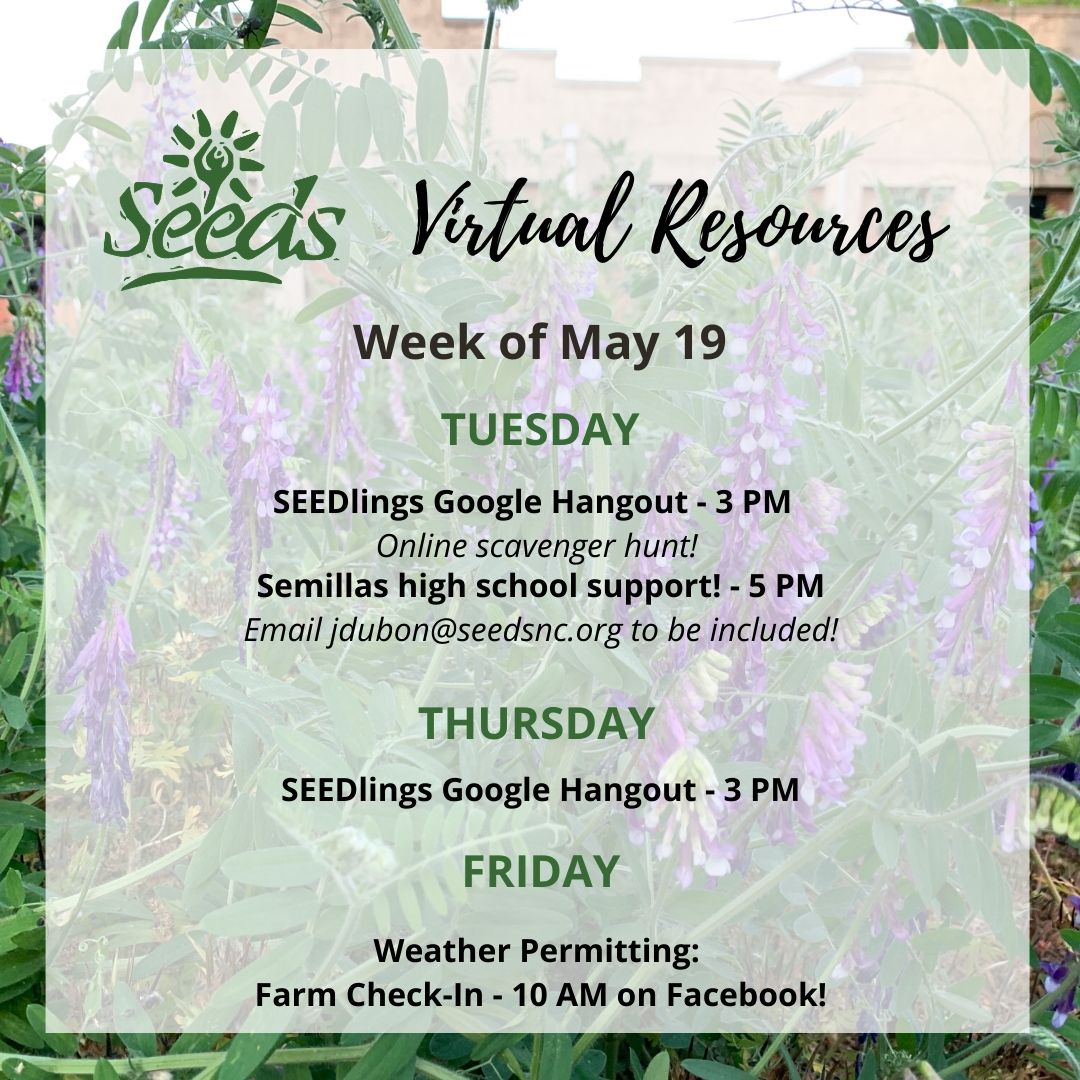 We're a little late, but check out our virtual activities for this week! New to the schedule this week is our virtual hangouts with our high school Semillas group! This group is for any high schooler who's looking for community!