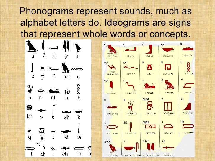 The phonogram, logogram, and ideogram made up the basis for hieroglyphic script. There are three types of phonograms: Uniliteral signs,1 hieroglyph represents 1 consonant/sound. Biliteral signs, represents 2 consonants. Triliteral signs, 1 hieroglyph represents 3 consonants.