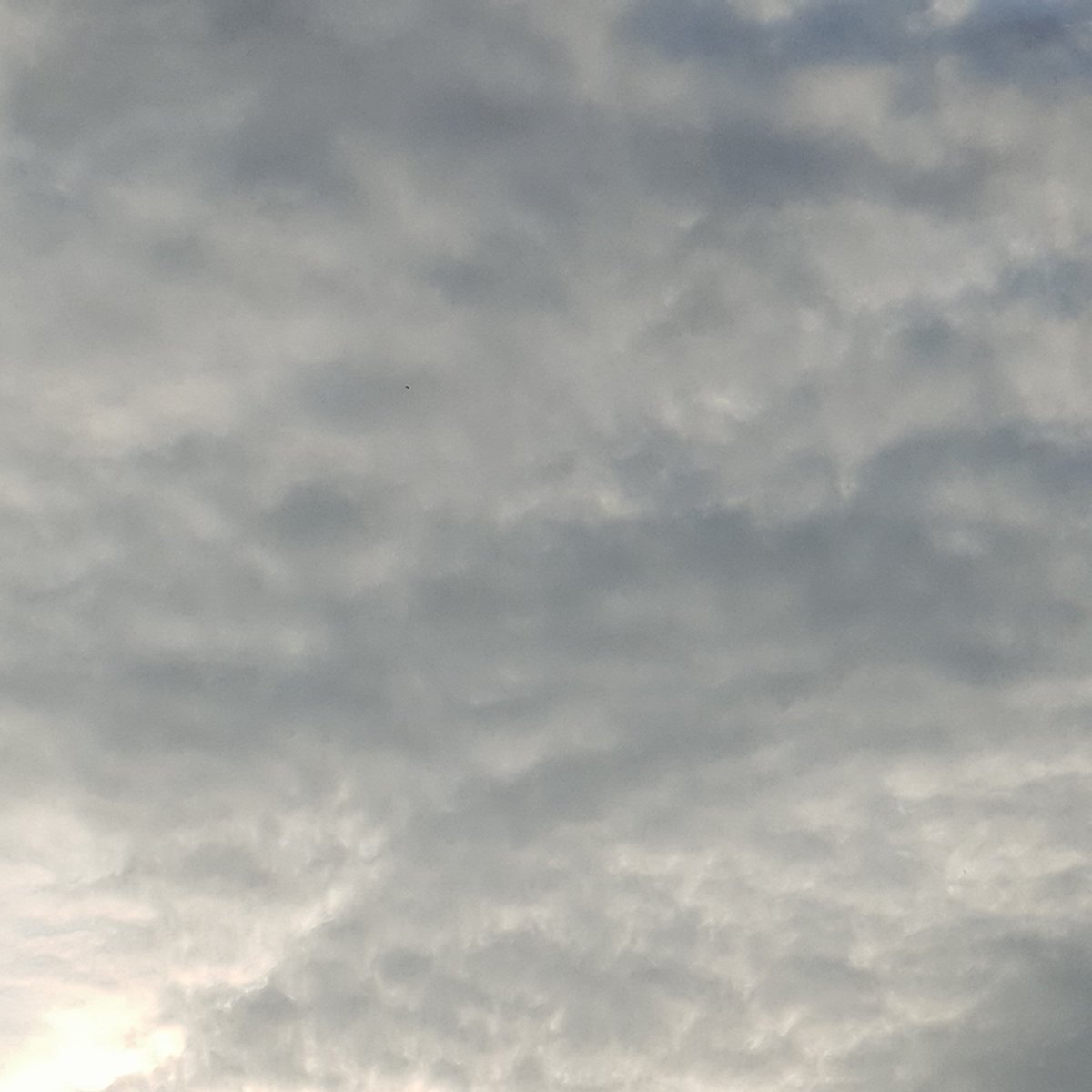 amourcielange tweet media