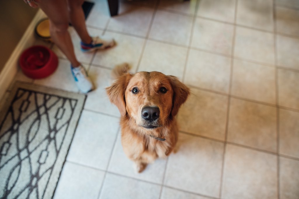 des_linden tweet media