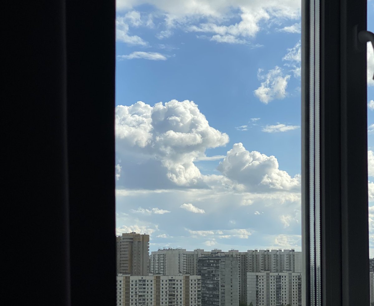 Вижу тут 2х собачек