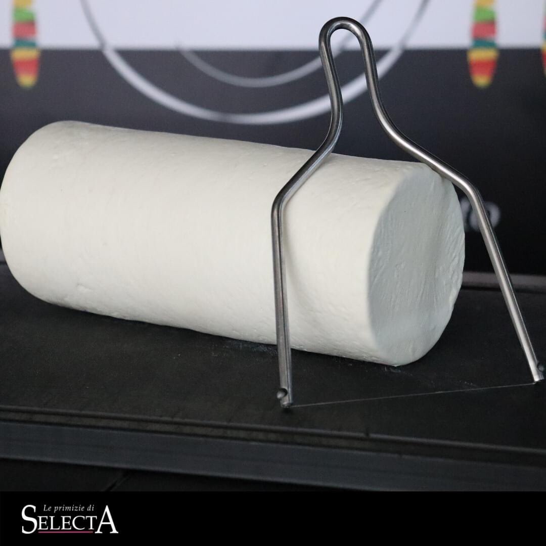 selecta_spa's tweet photo. Il #Manouri DOP è una #ricotta greca dai sentori freschi e dalla consistenza elastica e cremosa. Può essere gustato al naturale, in piatti estivi o in fresche insalate, oppure scottato in padella e accompagnato da ortaggi di stagione. #cheese #foodie https://t.co/5PvYonqqkl