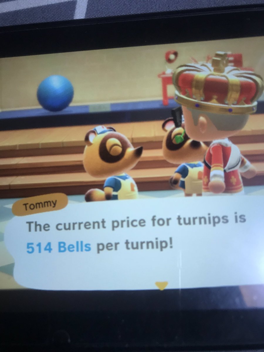prince_turnips's tweet photo. I need iron nugget? Anyone? #turnipexchange #turnipmarket #turnipsprice dm for dodo!! https://t.co/8Yxxg3gmlu