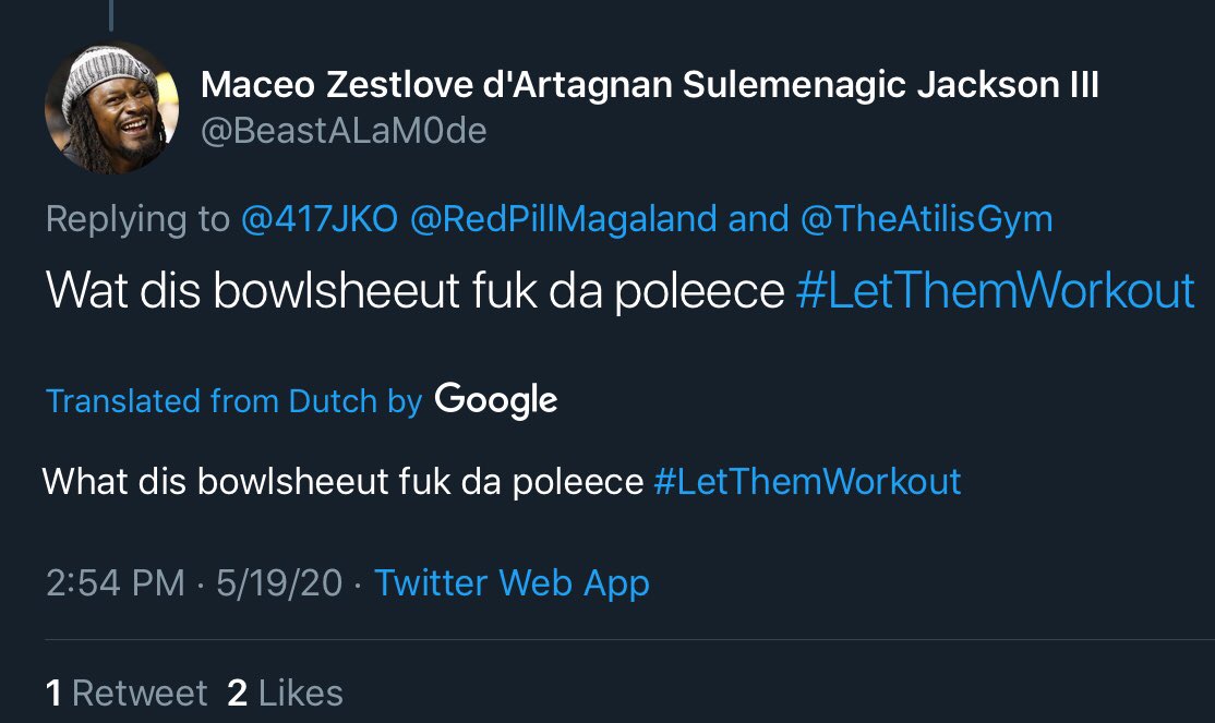 @BeastALaM0de @417JKO @RedPillMagaland @TheAtilisGym Oh, and you should know, Google thinks you’re speaking Dutch, apparently. 🤔