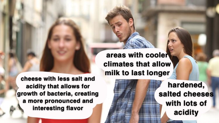 rileyrethal's tweet photo. all i can do now is make history of cheese-making memes https://t.co/rQLV5GfnVq