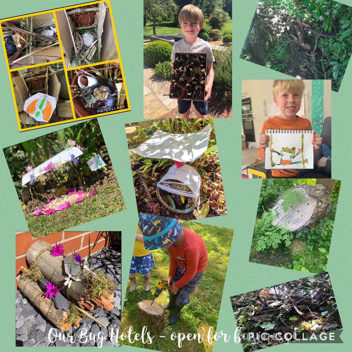 DameBradburys's tweet photo. Hotels might be closed just now but ours are open for business ... a welcome home for our bugs- 5* accommodation! Brilliant work 2M. #stephenperse https://t.co/ODx0VEVnzz