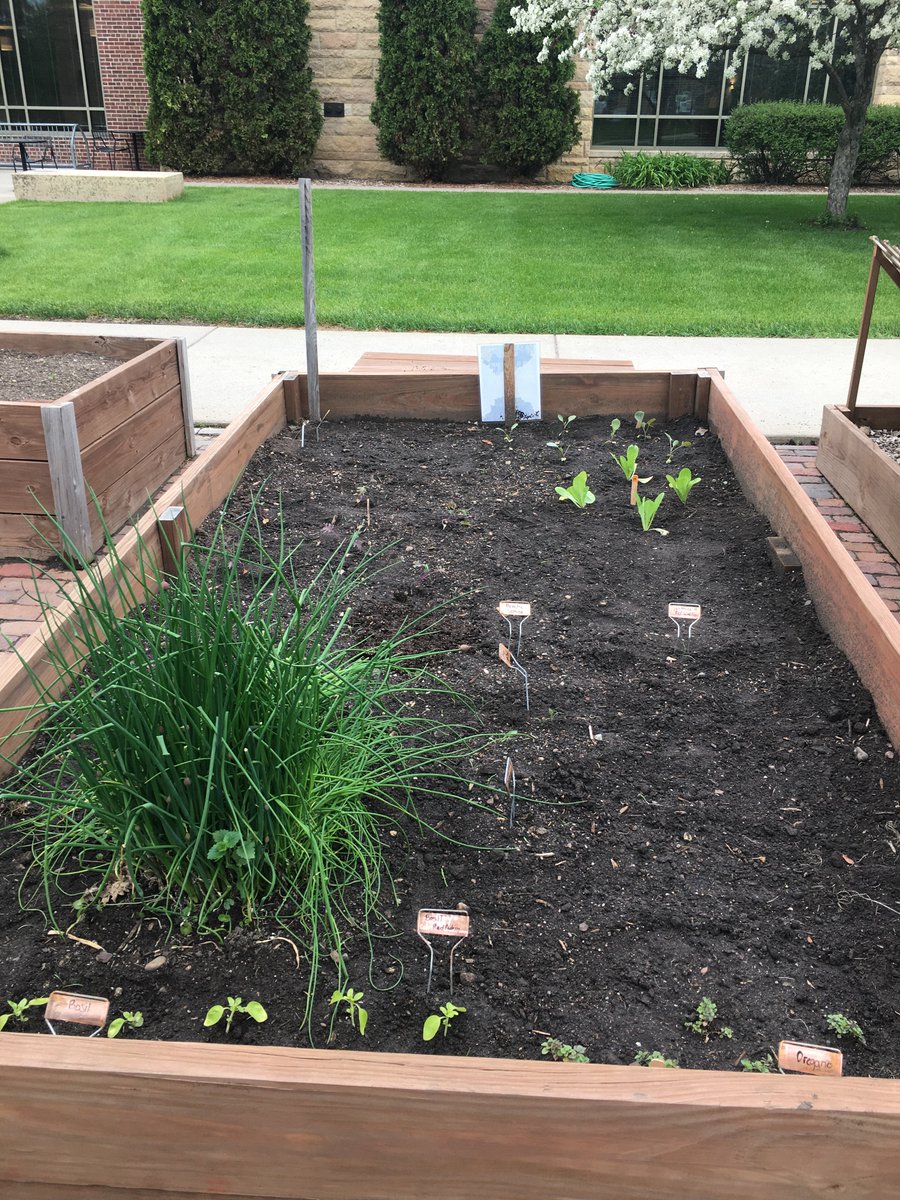 StKateGarden's tweet photo. Yesterday marked an exciting start to our garden season! We planted over 25 plant varieties and can't wait to watch them all grow. Wishing everyone the best for the rest of finals week! #mystkates #yourgarden #campusgarden https://t.co/NIaUaGFXdp