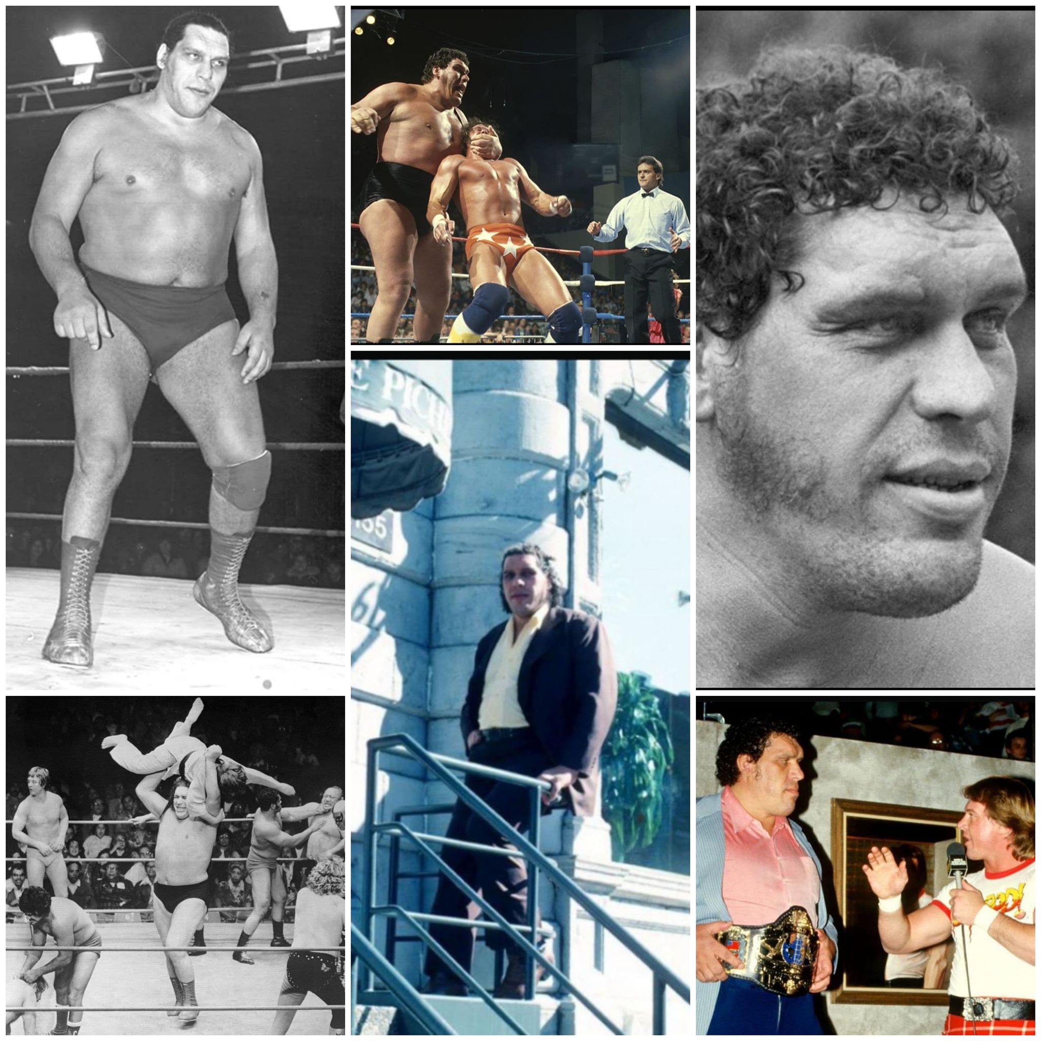 Happy birthday to Andre the Giant, who would have turned 74 today.  