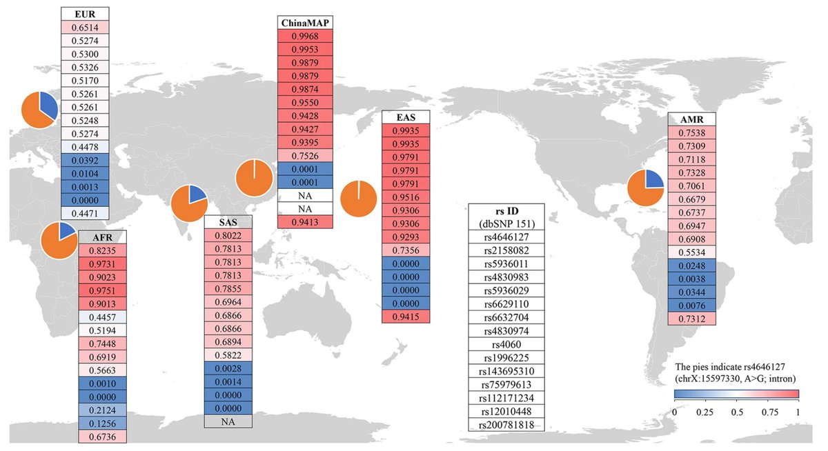 12/ Some people have more receptors than others. In fact, males have more than females, and males with  #COVID19 seem to do worse. And maybe children are partly protected because they have less? This study looks at ACE2 variants in different populations:  http://go.nature.com/2z4I1Em 