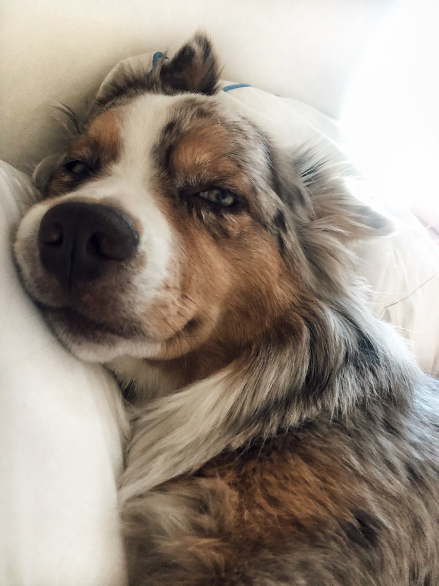 novathespaz's tweet photo. What I wake up to every morning 😍 https://t.co/13kxMmiCNb