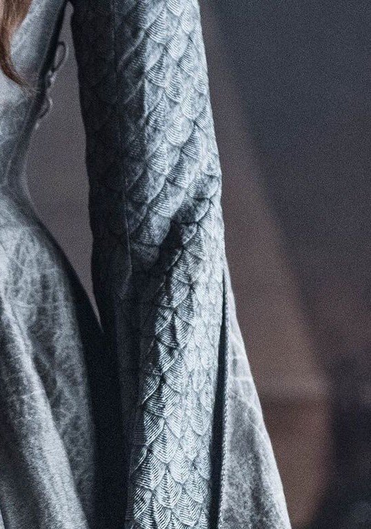 The scales on Sansa sleeves symbolize her mother’s house, House Tully, whose sigil is a fish, and also House Stark, whose sigil has a “scale pattern” where the fur of the direwolf is